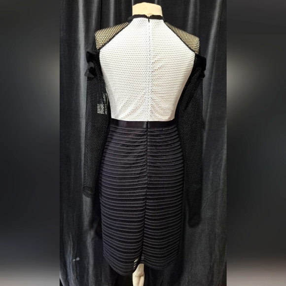 RUNWAY Chic Black and White Mesh Dress - Picture 3 of 7